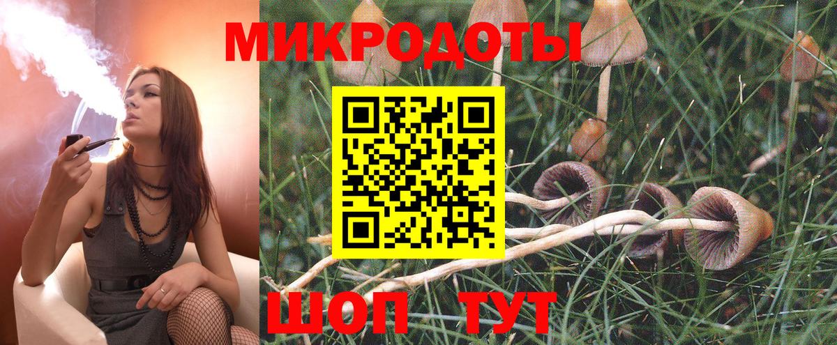 Хасавюрт  дарнет шоп  Вход с VPN  Псилоцибиновые грибы MAGIC MUSHROOMS 